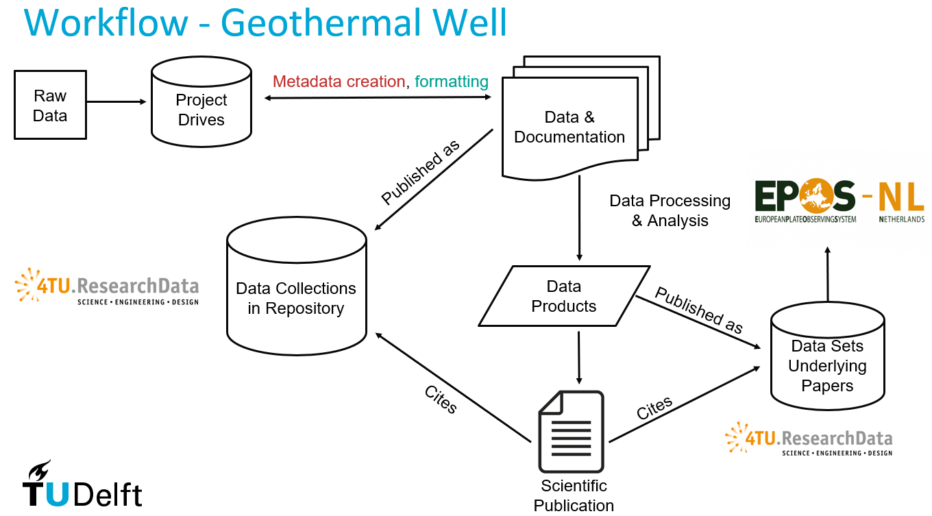 Data Workflow