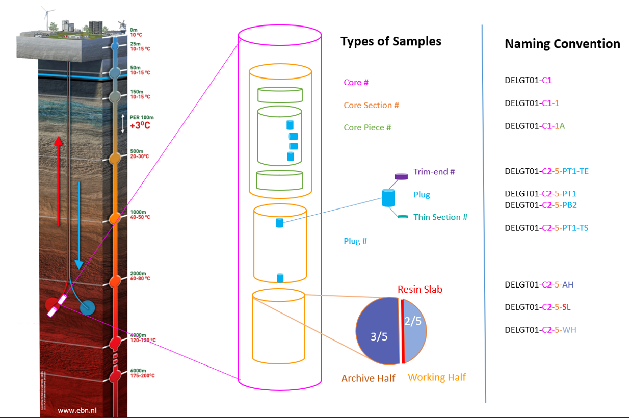 Samples Lineage